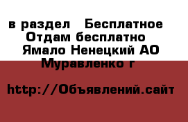  в раздел : Бесплатное » Отдам бесплатно . Ямало-Ненецкий АО,Муравленко г.